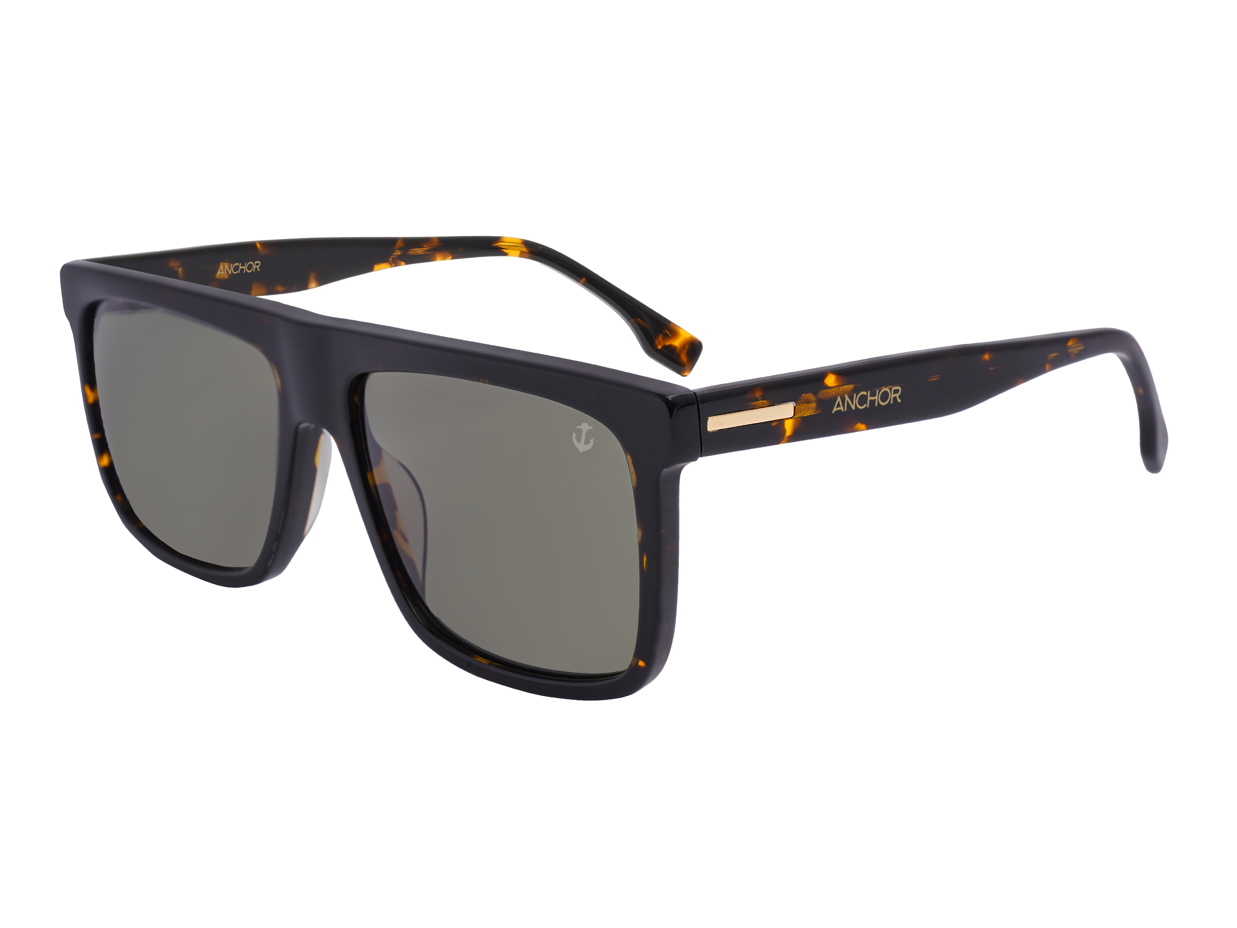 Anchor Square Sunglasses - CT0246 Brown