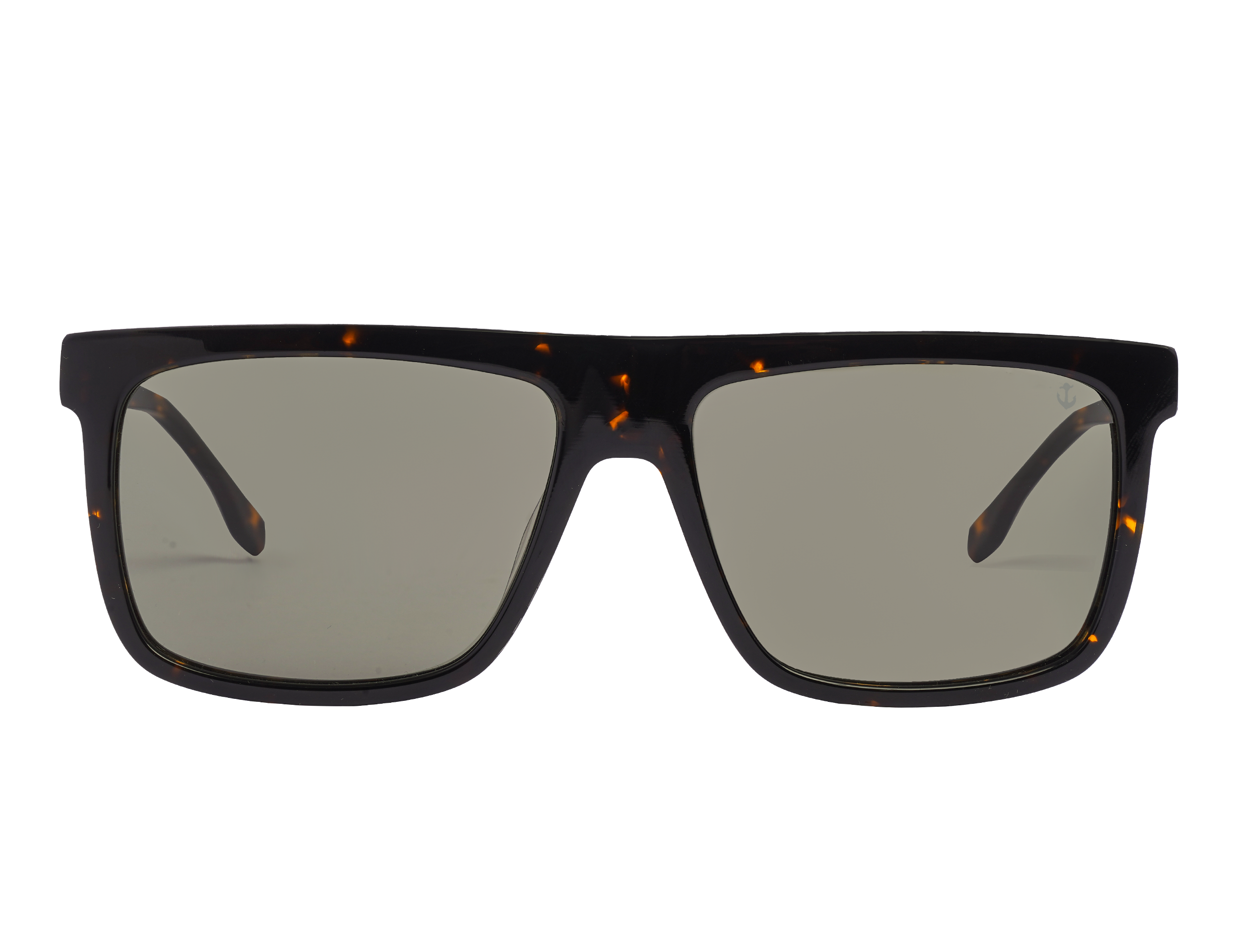 Anchor Square Sunglasses - CT0246 Brown