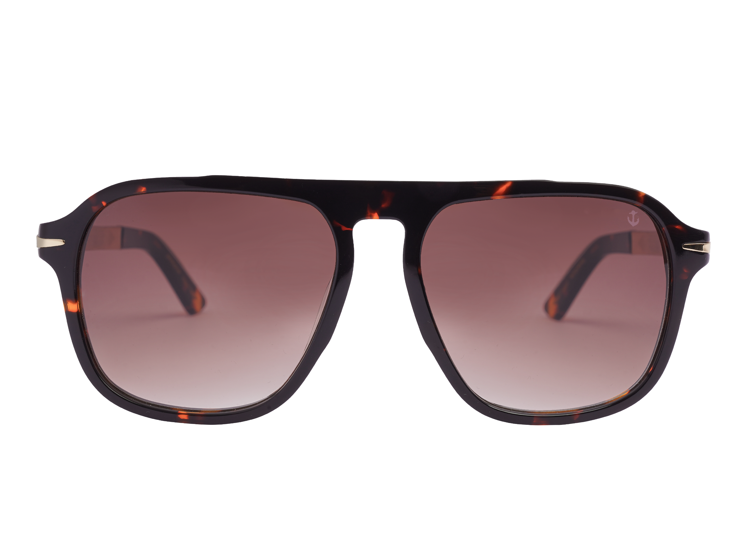 Anchor Square Sunglasses - PR24ZS Brown