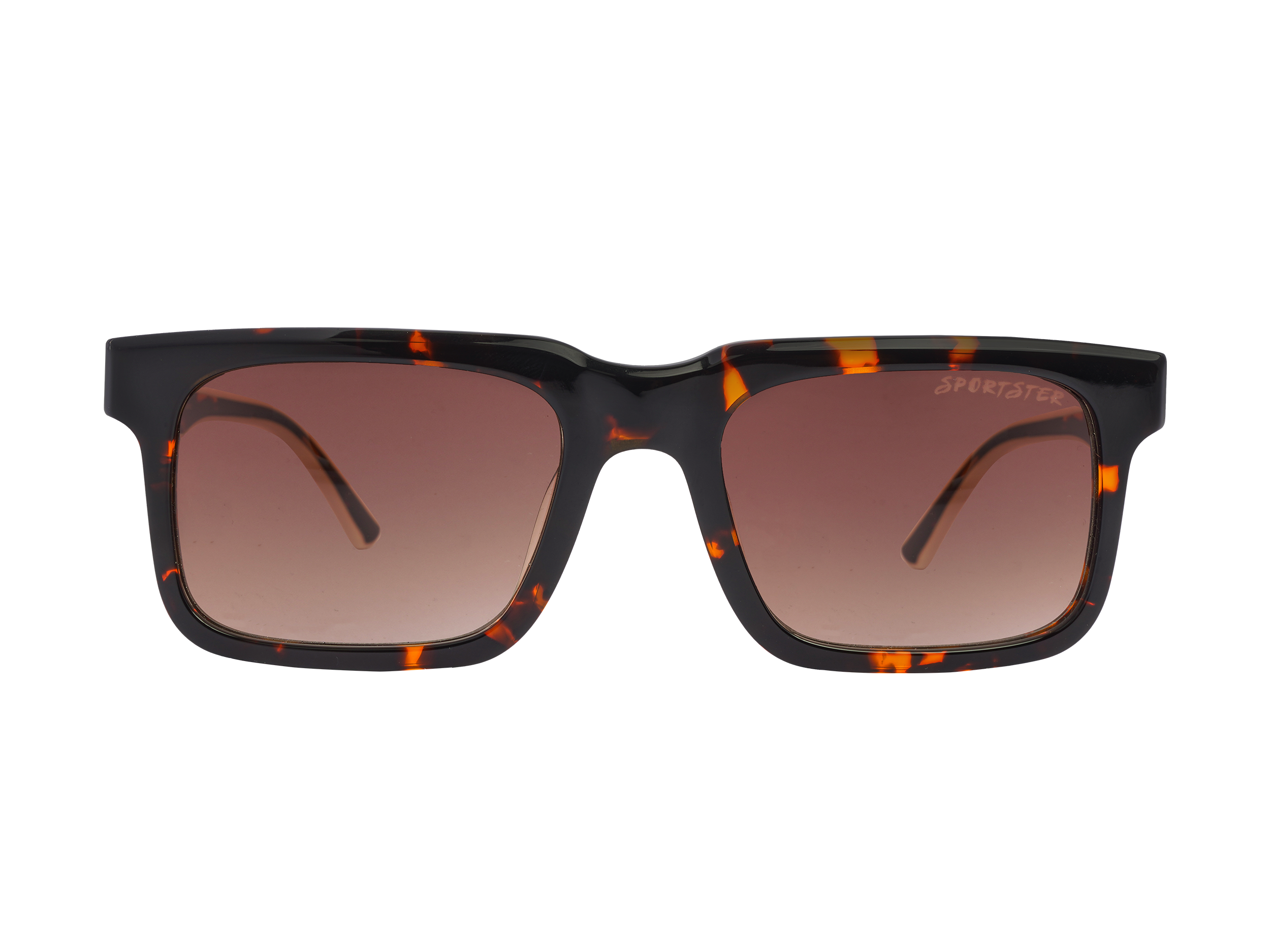 Sportster Square Sunglasses - CT0245 Brown