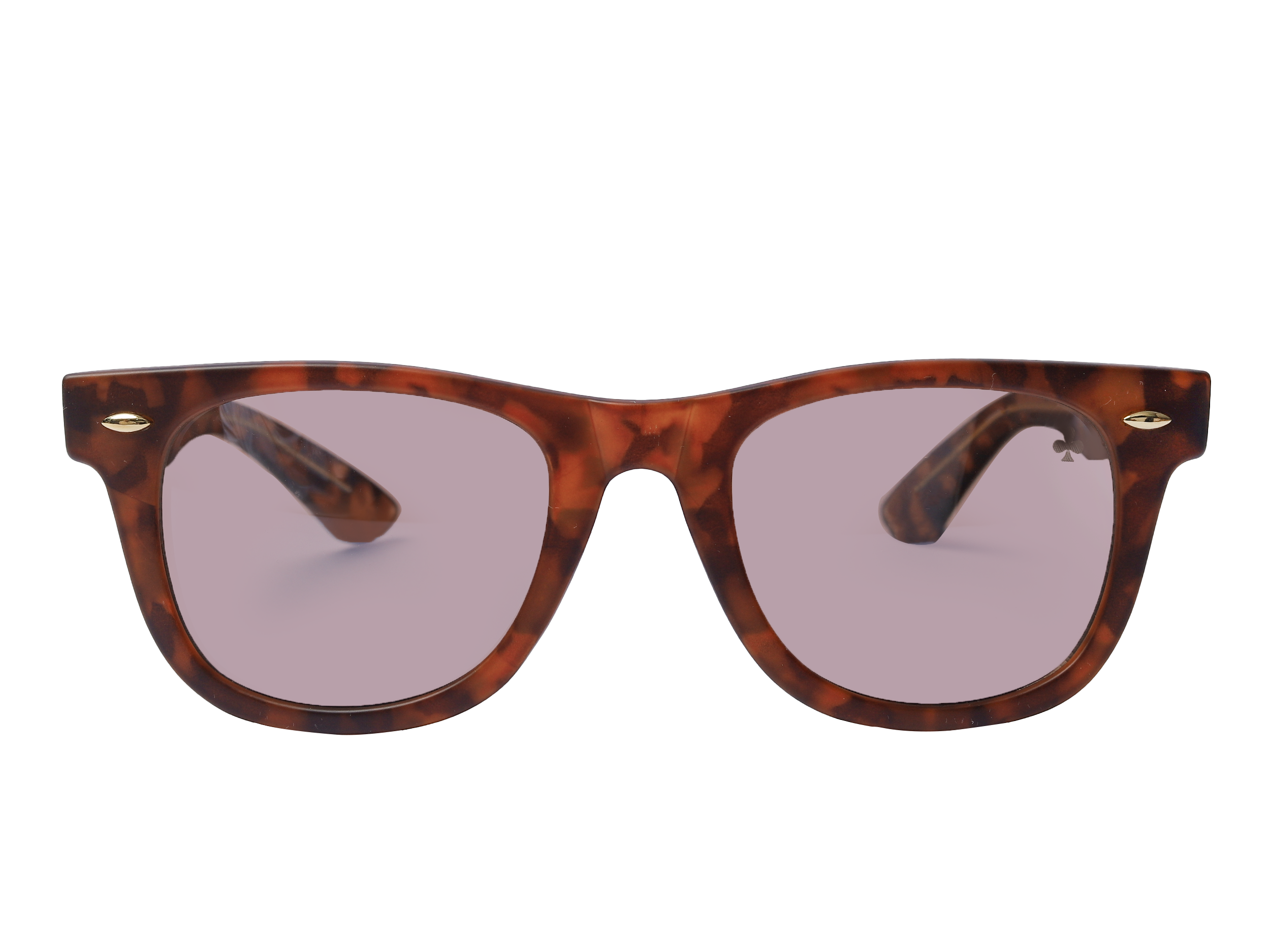 Rosa Valentine Square Sunglasses - 6802 Brown